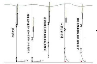 调四钓二调漂法视频,精准钓鱼技巧解析