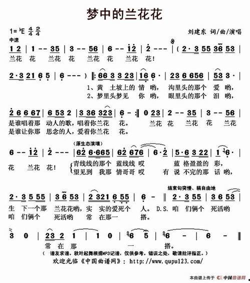 歌曲梦中的兰花花视频,探寻歌曲背后的传奇故事