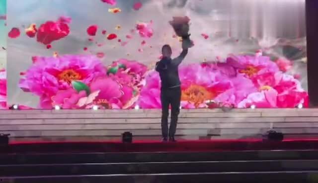 歌曲梦中的兰花花视频,探寻歌曲背后的传奇故事