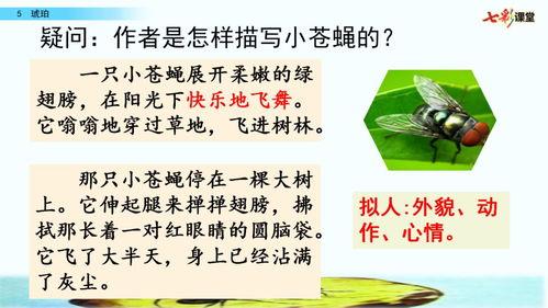 四年级语文微课视频,四年级语文微课视频内容概览