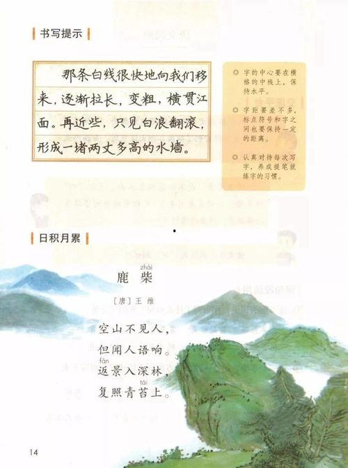 四年级语文微课视频,四年级语文微课视频内容概览