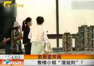 售楼小姐 视频,房产销售背后的真实故事