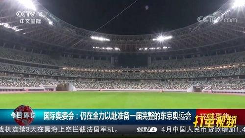 东京奥运会视频,激情燃烧的体育盛宴
