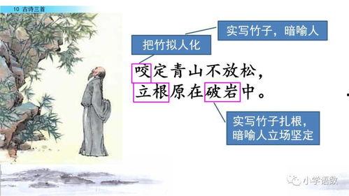 古诗讲解视频,古诗讲解视频精华回顾