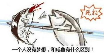 咸鱼视频,揭秘二手交易市场的魅力与机遇