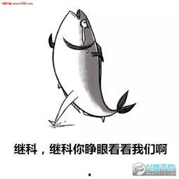 咸鱼视频,揭秘二手交易市场的魅力与机遇