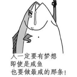 咸鱼视频,揭秘二手交易市场的魅力与机遇