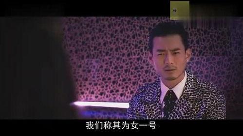 鸭王 视频,揭秘鸭界传奇，探寻美食背后的故事