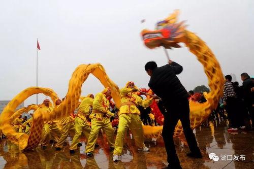 舞龙舞狮视频,传承千年——舞龙舞狮视频赏析