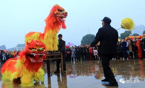 舞龙舞狮视频,传承千年——舞龙舞狮视频赏析