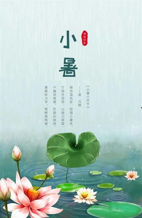 二十四节气视频,穿越时空的农业智慧之旅
