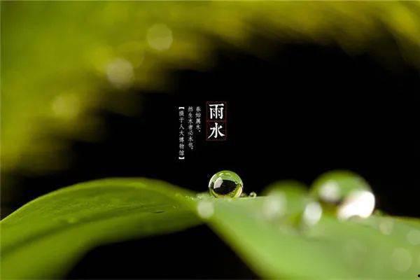 二十四节气视频,穿越时空的农业智慧之旅