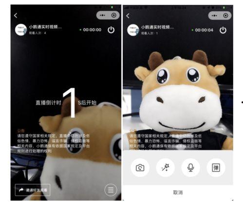 小鹅视频,揭秘短视频制作与传播的奥秘