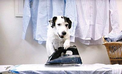 熨衣服视频,视频教学助你焕然一新