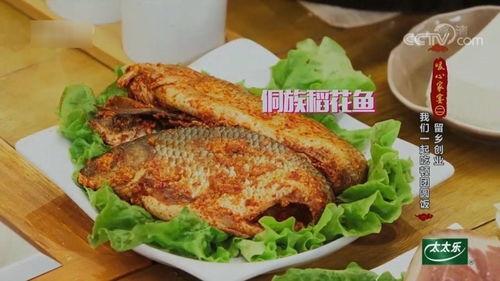 稻花鱼视频,探寻田园风光中的生态养殖奇迹