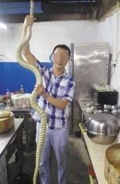 杀蛇视频,揭秘真实杀蛇瞬间