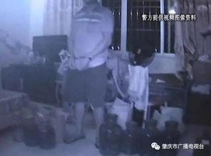 杀蛇视频,揭秘真实杀蛇瞬间