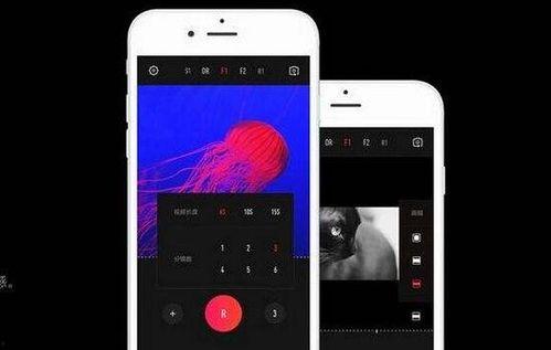 高清手机视频,捕捉生活瞬间，展现时代风采
