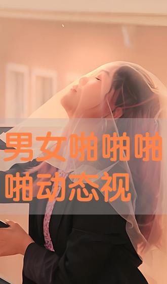 啪啪免费动态视频,探索啪啪免费动态视频的无限魅力