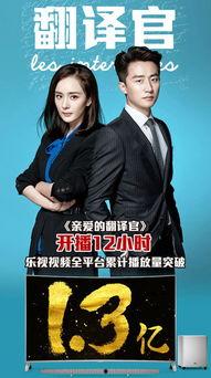 翻译官视频,跨语言沟通的艺术与挑战