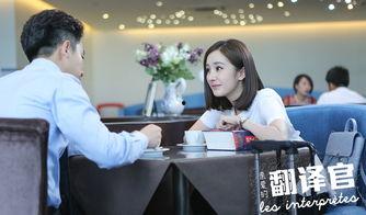 翻译官视频,跨语言沟通的艺术与挑战