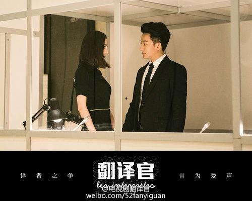 翻译官视频,跨语言沟通的艺术与挑战