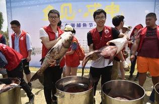 吃瓜爆料高校,吃瓜爆料背后的真实故事