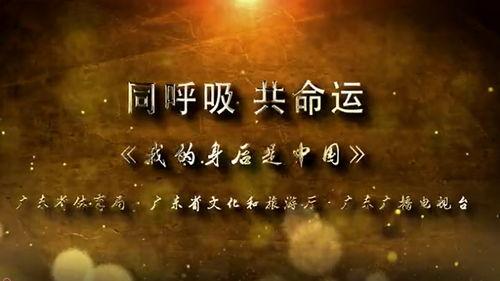 正能量的视频,视频中的温暖瞬间与心灵触动