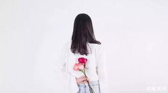 男在上女在下免费视频,探索男上女下姿势的浪漫奥秘