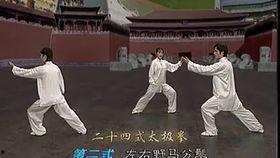 二十四式太极拳视频,领略传统武术魅力，体验身心和谐之道