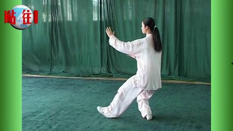二十四式太极拳视频,领略传统武术魅力，体验身心和谐之道