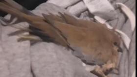 恐怖视频大全,恐怖视频大全深度解析