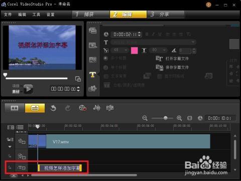 给视频加字幕,精彩瞬间深度解读