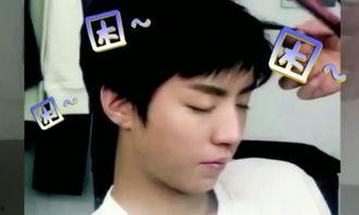 犯困视频,揭秘犯困视频背后的睡眠奥秘