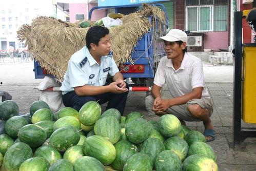 隆安瓜地今日价格,行情波动，新鲜资讯速递”
