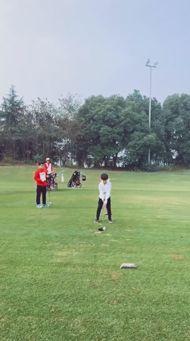 打高尔夫视频,揭秘高尔夫球手挥杆技巧与风采