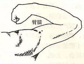 刮痧操作视频,轻松掌握家庭养生秘诀