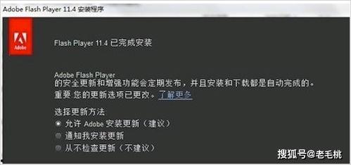 视频看不了,揭秘无法观看视频的常见原因及解决方案
