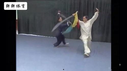 武术的视频,视频中的传统技艺展现