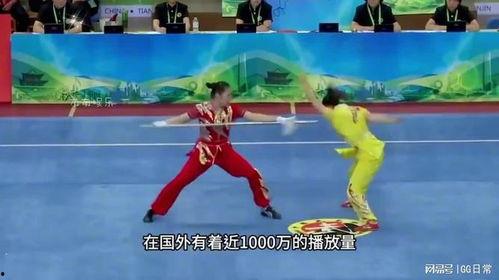 武术的视频,视频中的传统技艺展现