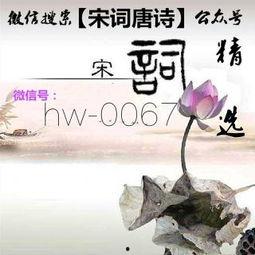 宋词视频,穿越千年的情感画卷