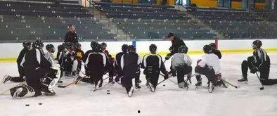 冰球教学视频,掌握技巧，提升竞技水平