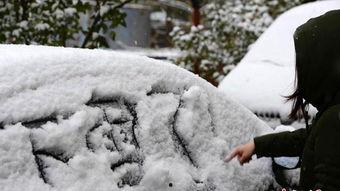 大雪视频,一场视觉盛宴的冰雪奇缘