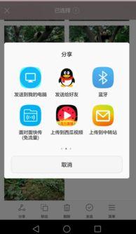 视频转发,[视频标题]