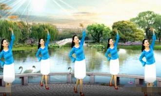 下载广场舞视频,舞动人生，乐享健康