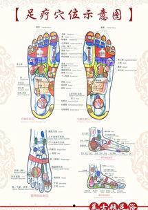 足底按摩手法视频,轻松掌握专业按摩技巧