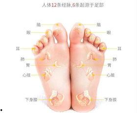 足底按摩手法视频,轻松掌握专业按摩技巧