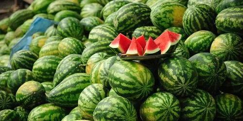 热点事件 今日吃瓜金乡花,今日吃瓜，揭秘网络热点背后的真相