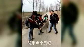 残疾人另类视频,展现生活多样性与勇气