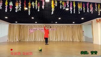 藏族舞视频大全,视频大全中的藏族舞蹈魅力解析